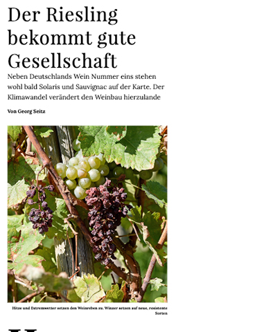 Der Riesling bekommt gute Gesellschaft