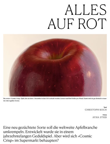 Alles auf Rot