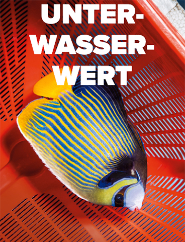 Unterwasserwert