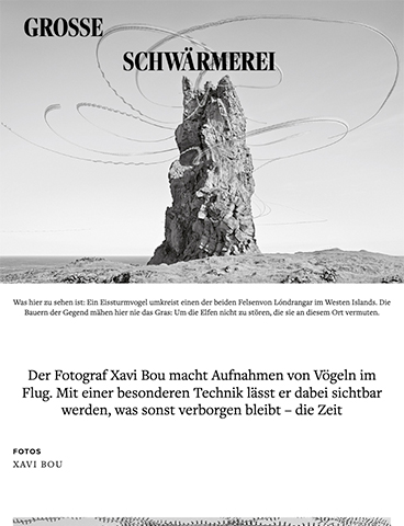 Grosse Schwärmerei