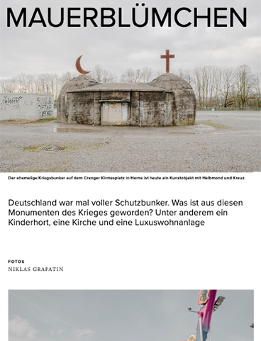 Mauerblümchen