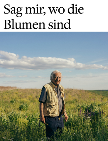 Sag mir, wo die Blumen sind