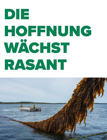 Die Hoffnung wächst rasant